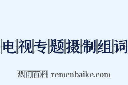 电视专题摄制组词是什么意思的图片